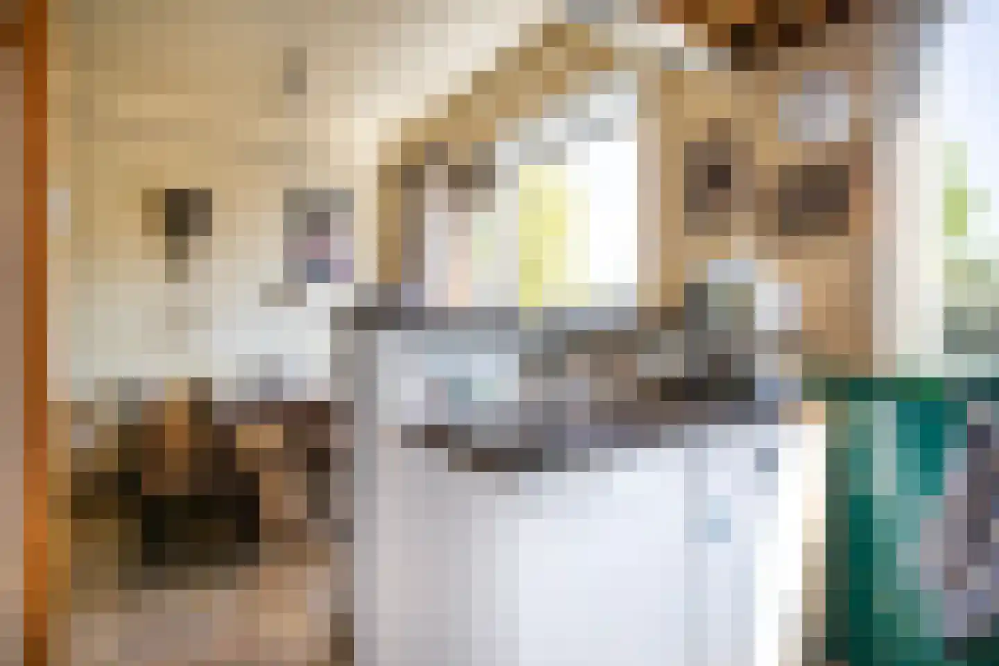 Molengraaffplantsoen 6 Utrecht thumbnail 19