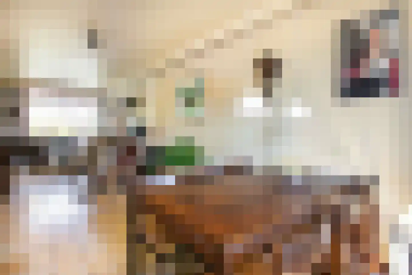 Molengraaffplantsoen 6 Utrecht thumbnail 20