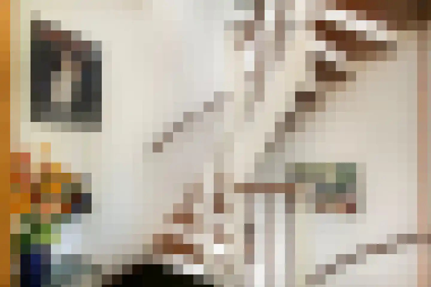Molengraaffplantsoen 6 Utrecht thumbnail 22