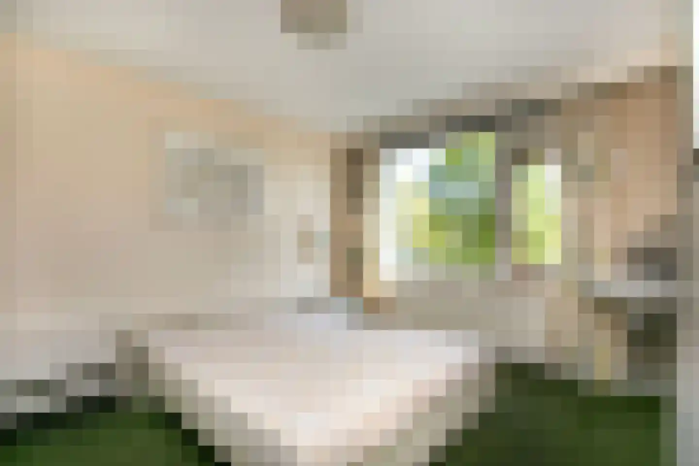 Molengraaffplantsoen 6 Utrecht thumbnail 23
