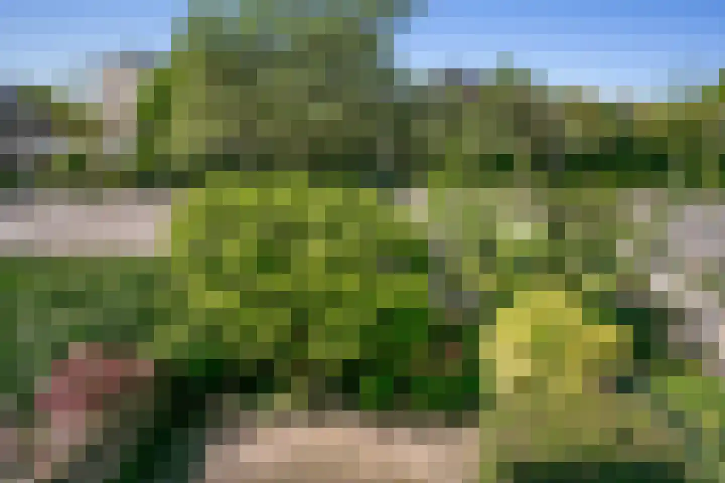 Molengraaffplantsoen 6 Utrecht thumbnail 27