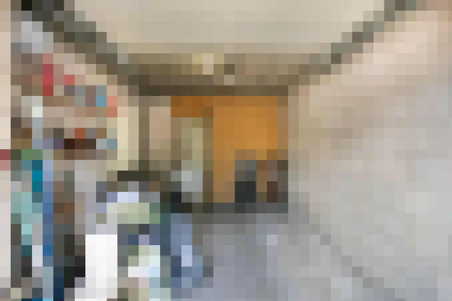 Molengraaffplantsoen 6 Utrecht thumbnail 31