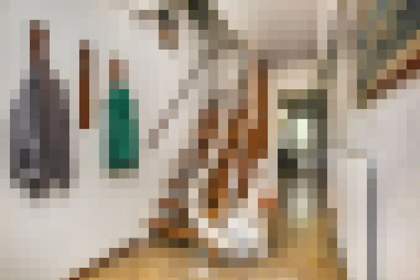 Molengraaffplantsoen 6 Utrecht thumbnail 4