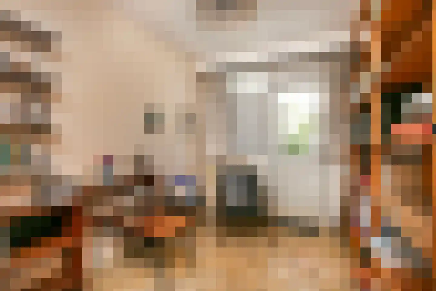 Molengraaffplantsoen 6 Utrecht thumbnail 5