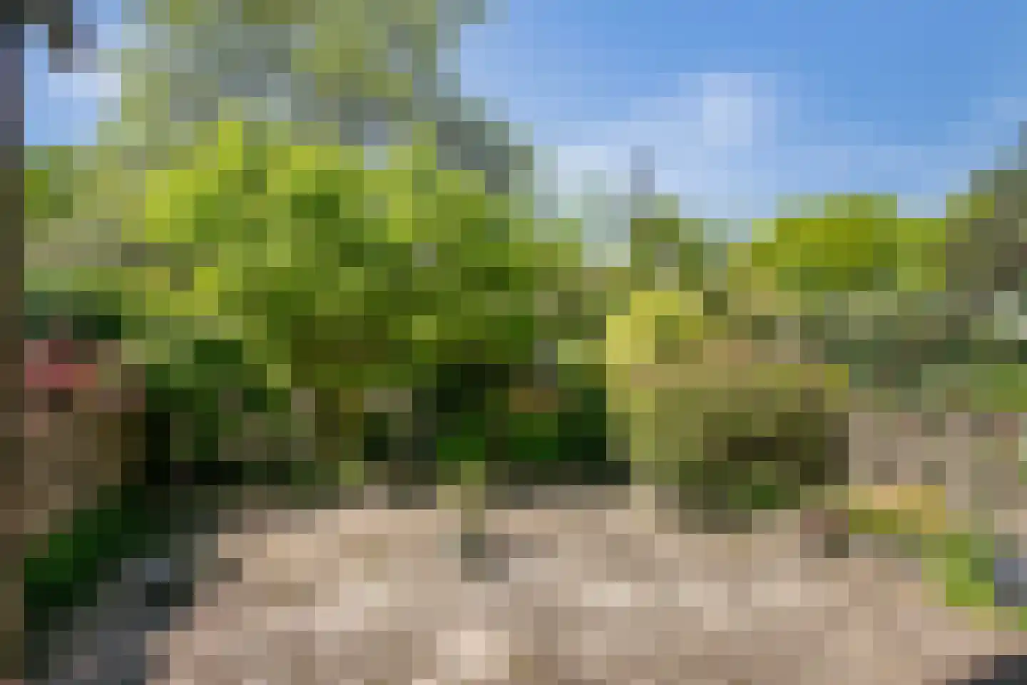 Molengraaffplantsoen 6 Utrecht thumbnail 6