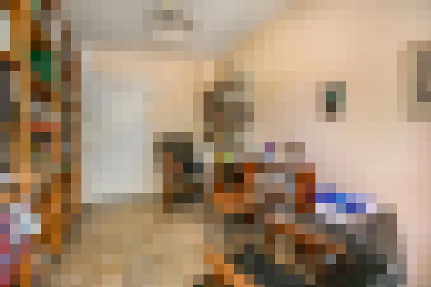 Molengraaffplantsoen 6 Utrecht thumbnail 8