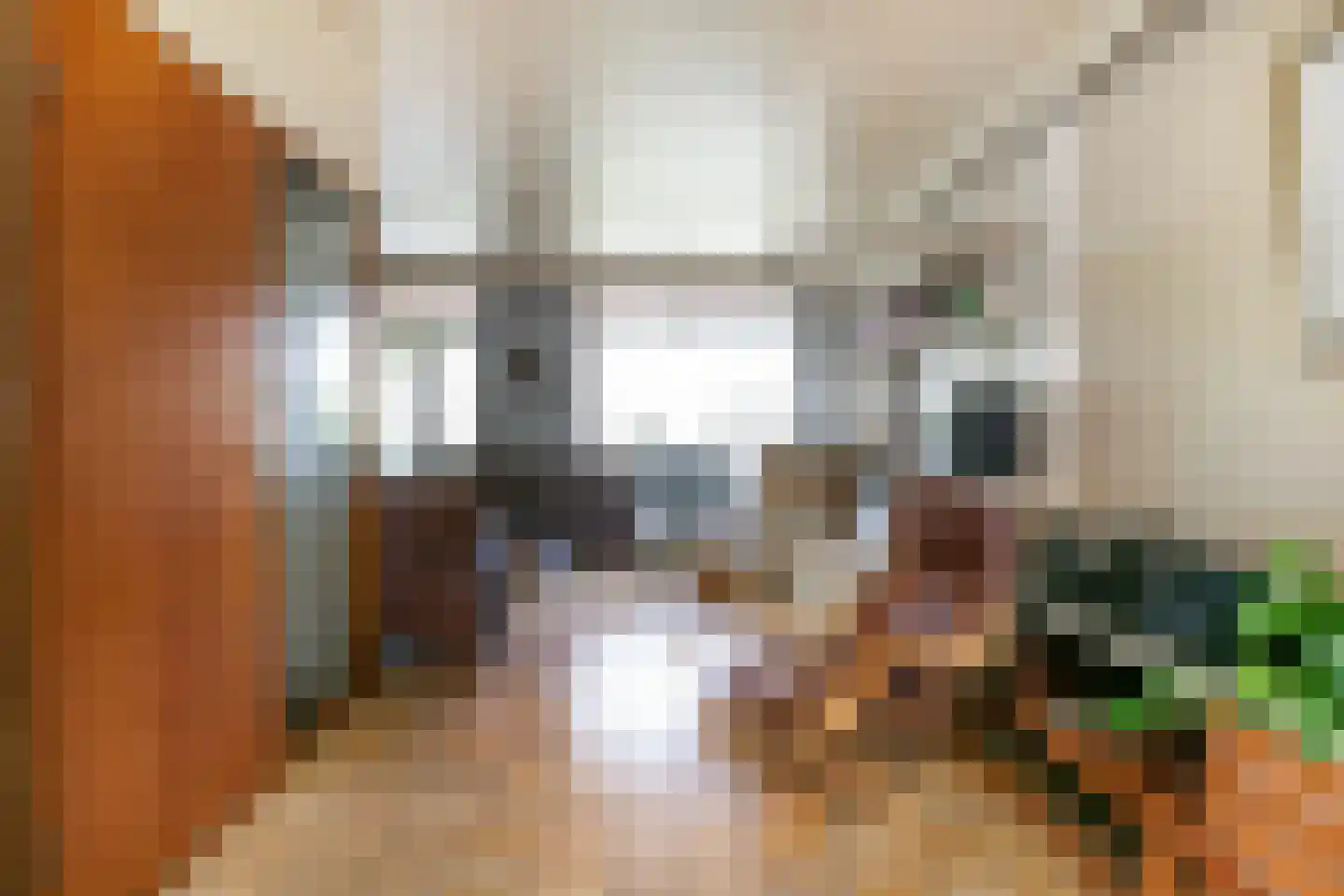 Molengraaffplantsoen 6 Utrecht thumbnail 9