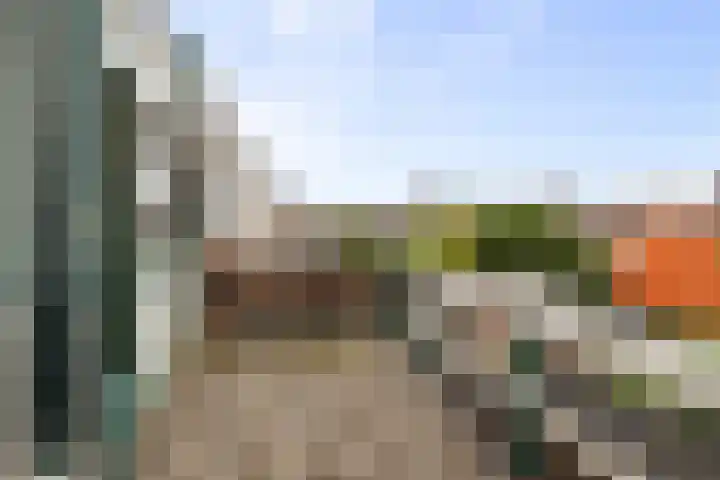 Molengracht 20 Den Helder thumbnail 18