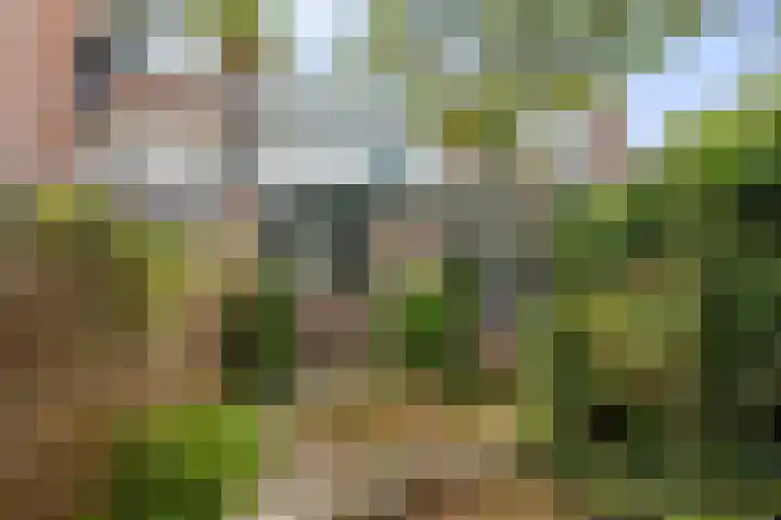 Molengracht 20 Den Helder thumbnail 8