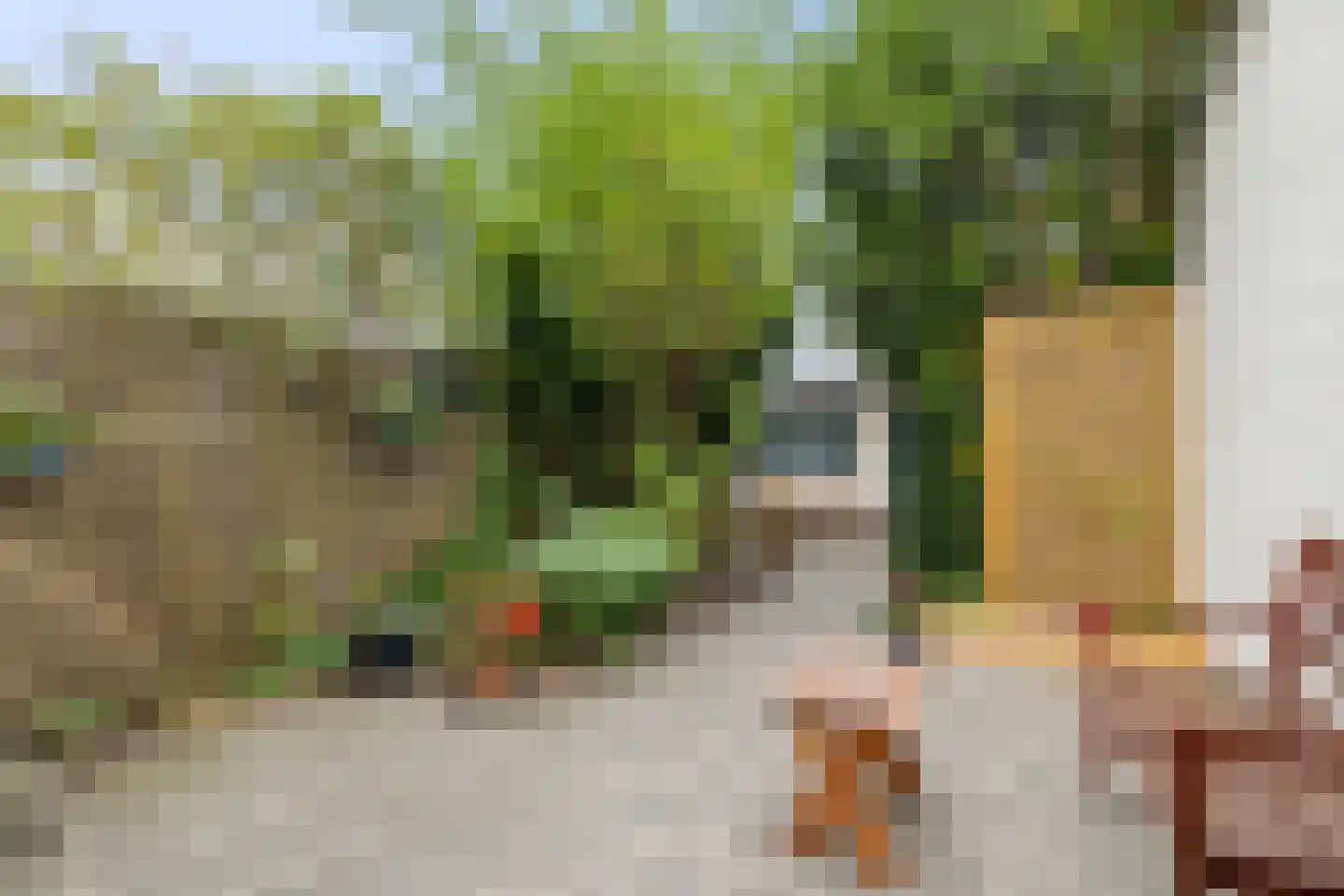 Molengracht 22 Den Helder thumbnail 15