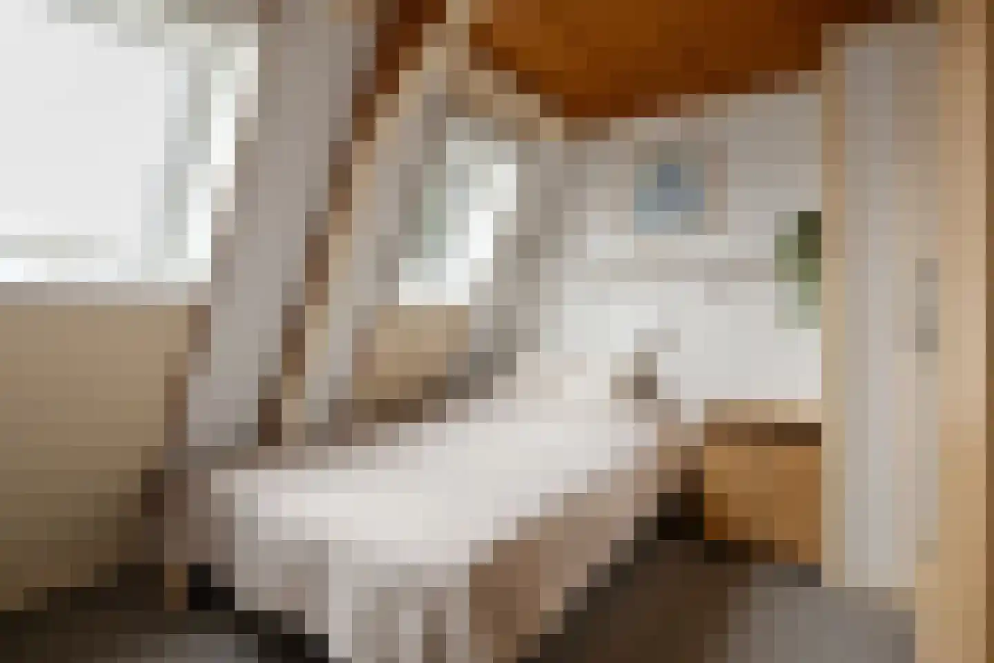 Molengracht 22 Den Helder thumbnail 21