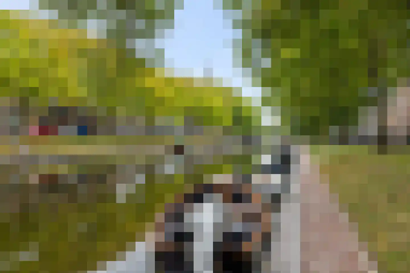 Molengracht 22 Den Helder thumbnail 26