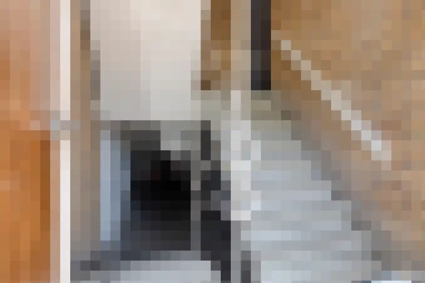 Molengracht 26 Zutphen thumbnail 21