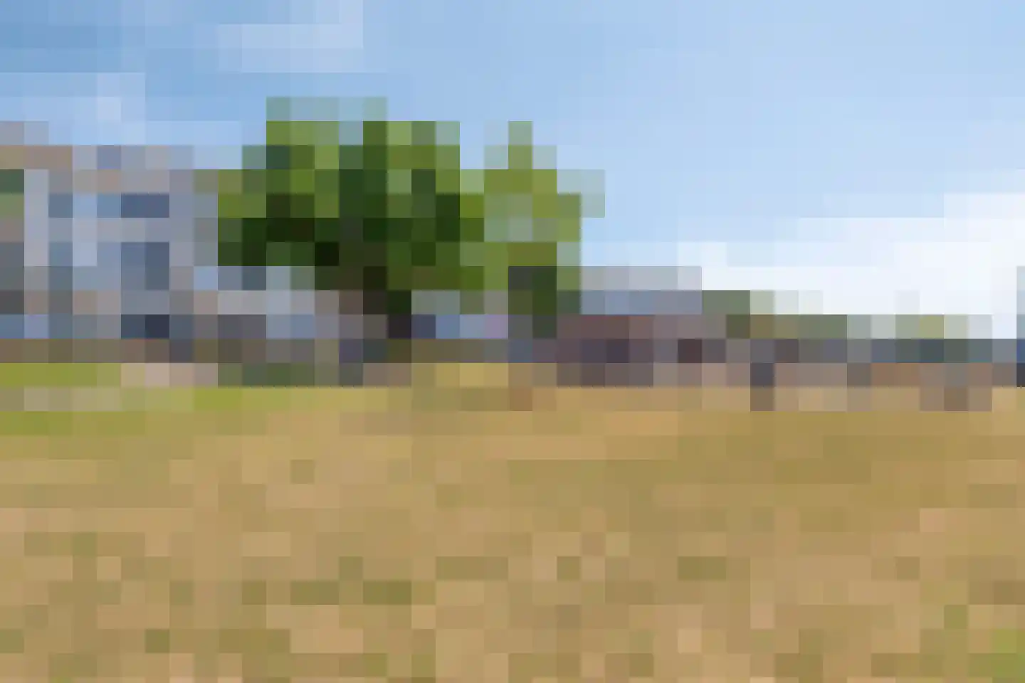 Molengracht 26 Zutphen thumbnail 25