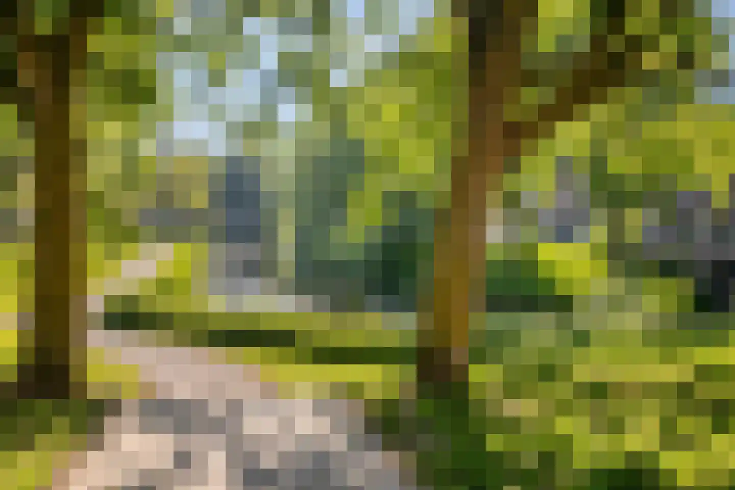 Molengracht 29 Zutphen thumbnail 25