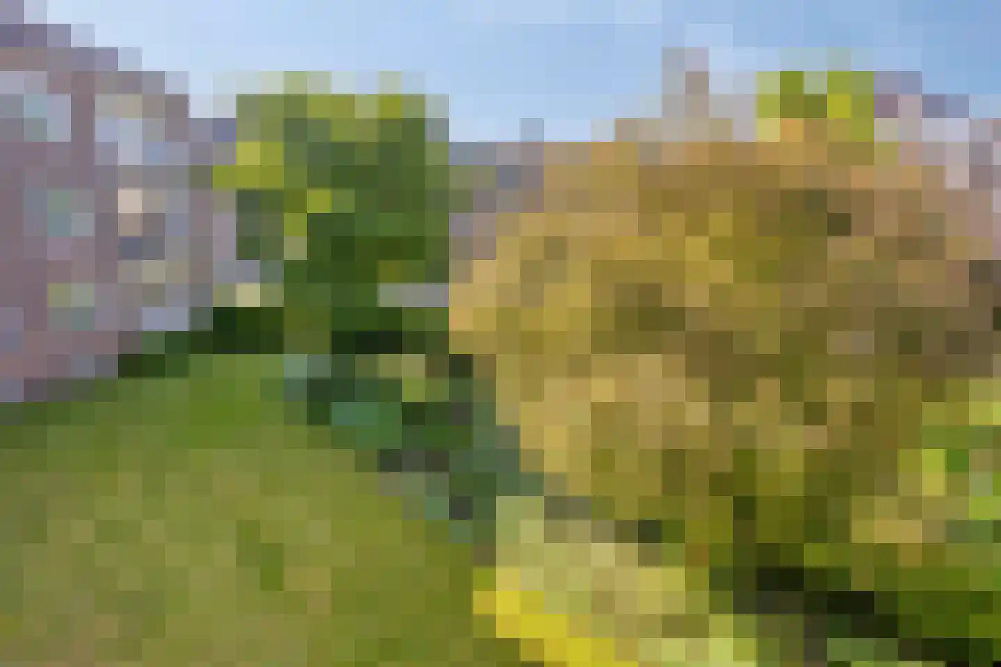 Molengracht 29 Zutphen thumbnail 29
