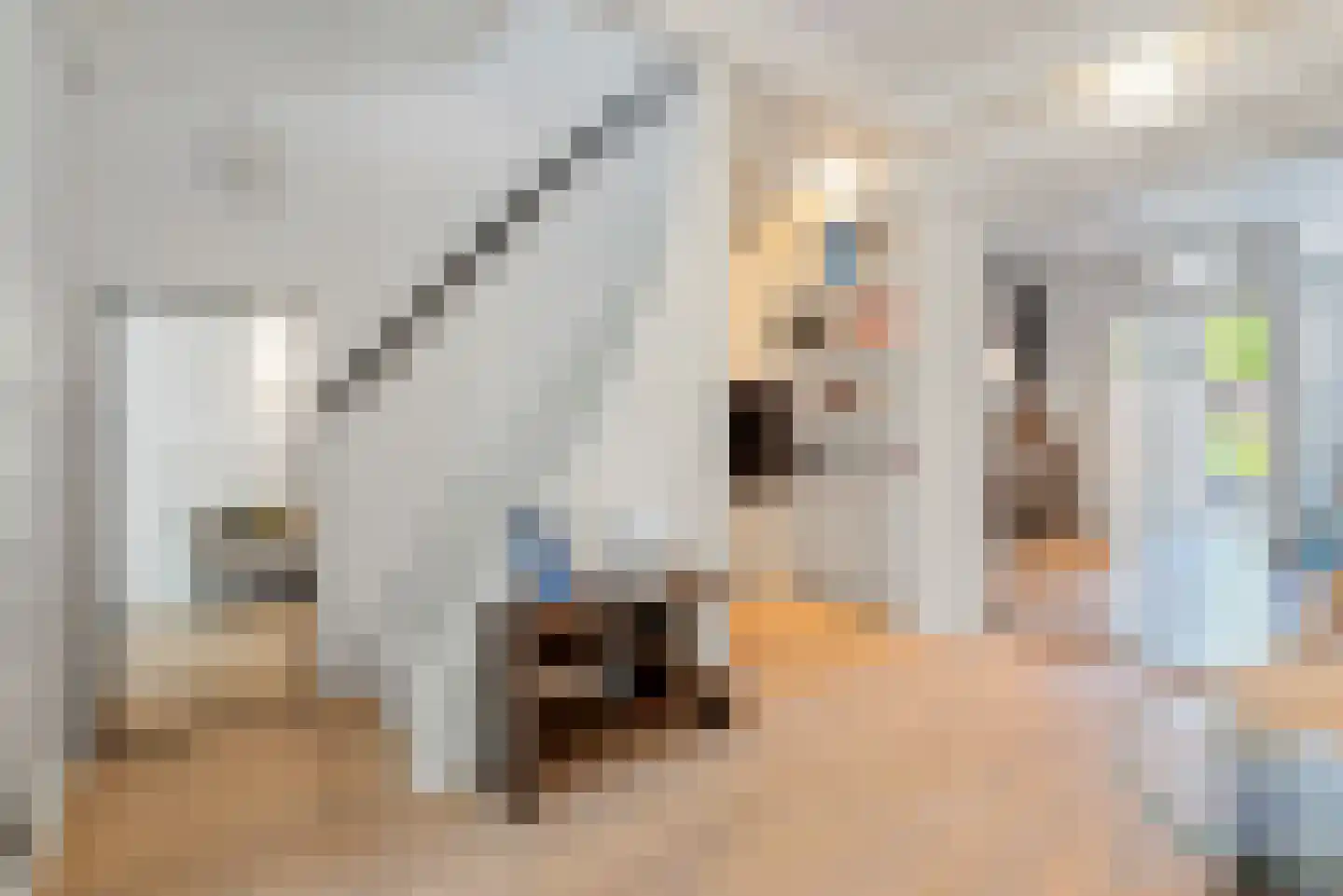 Molengracht 35 Den Helder thumbnail 13