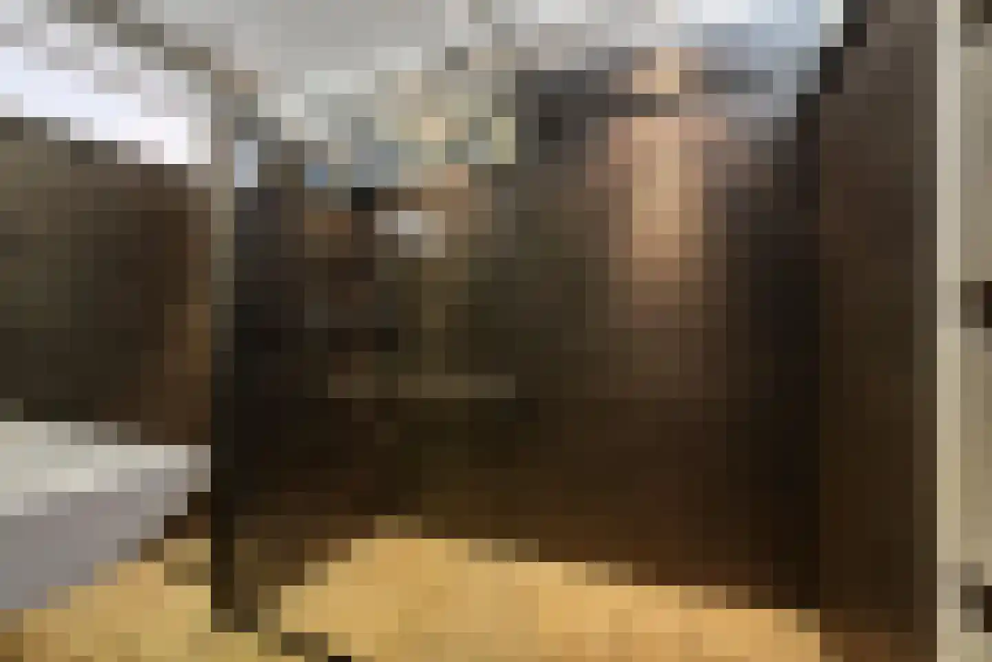 Molengracht 35 Den Helder thumbnail 48