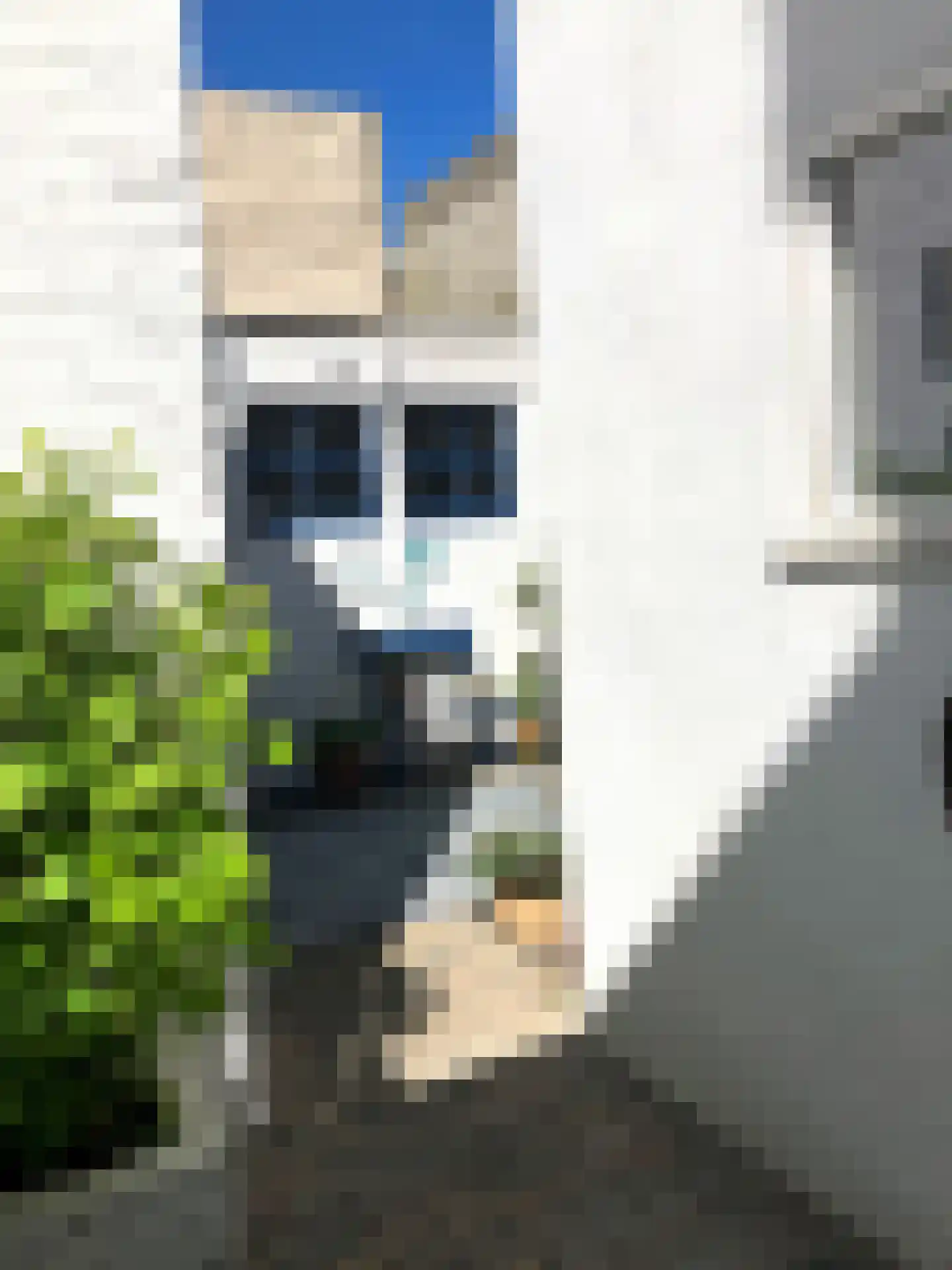 Molengracht 37 Den Helder thumbnail 27