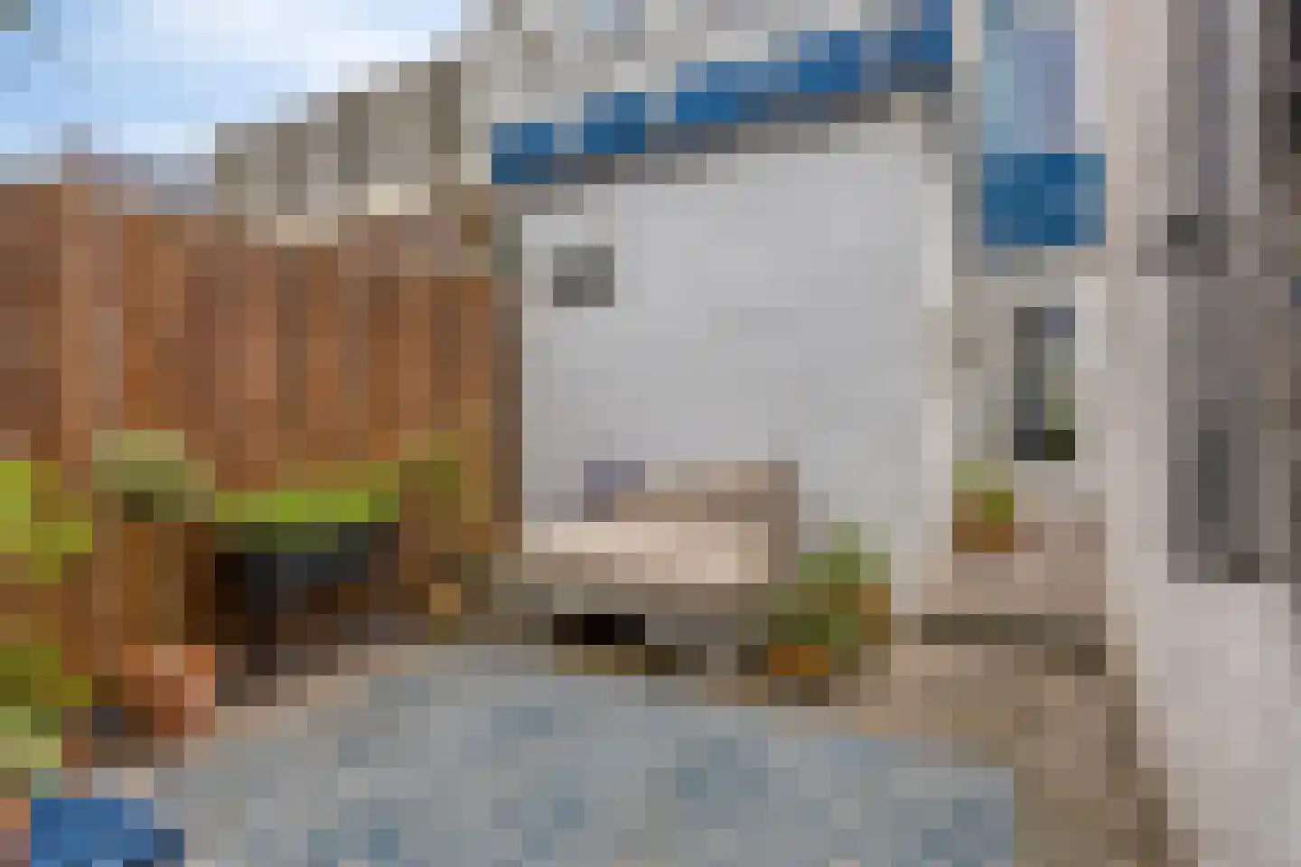 Molengracht 37 Den Helder thumbnail 29