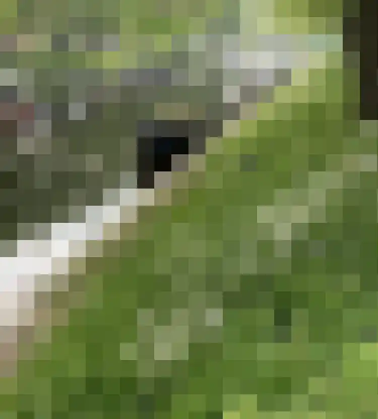 Molengracht 37 Den Helder thumbnail 39