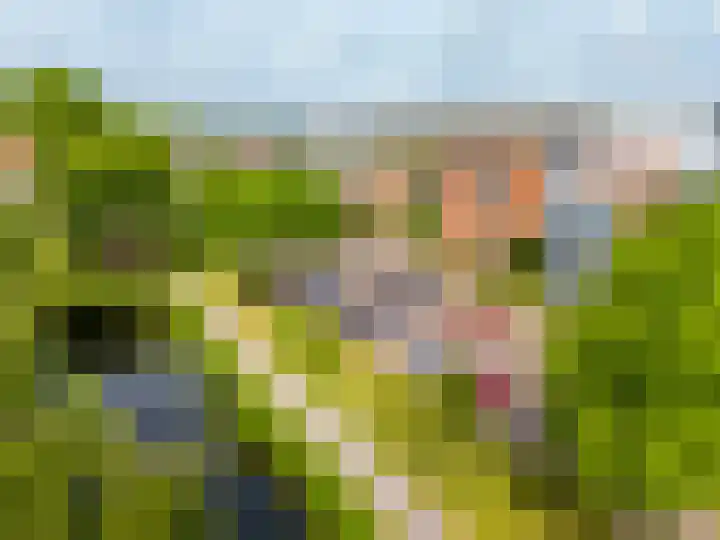Molengracht 42 Zutphen thumbnail 23