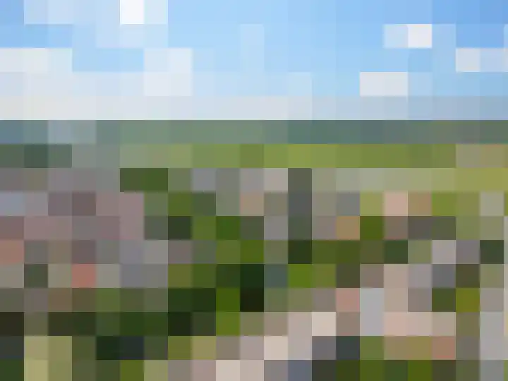 Molengracht 42 Zutphen thumbnail 25