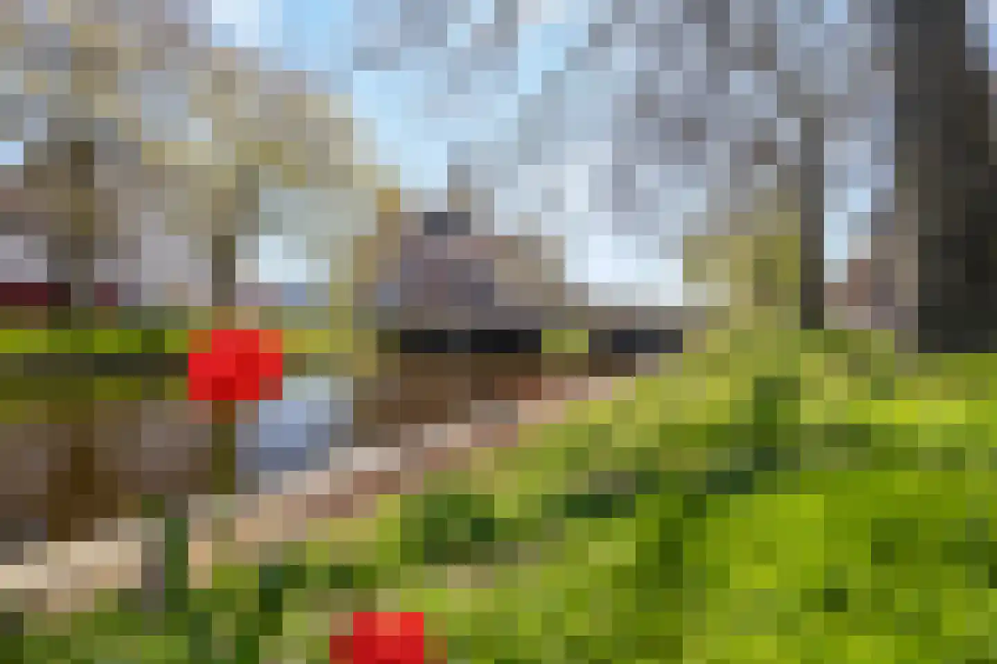 Molengracht 45 Den Helder thumbnail 32