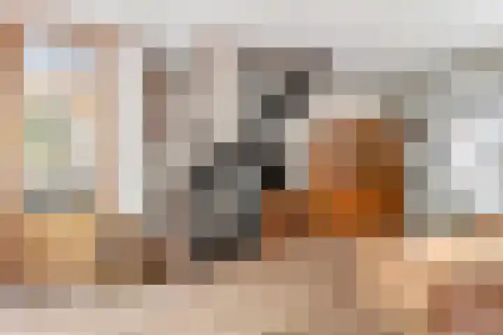 Molengracht 47 Den Helder thumbnail 11