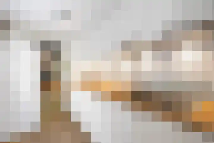 Molengracht 47 Den Helder thumbnail 13