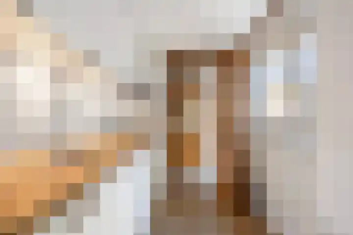 Molengracht 47 Den Helder thumbnail 14
