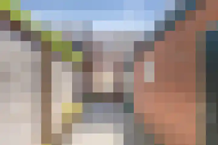 Molengracht 47 Den Helder thumbnail 19