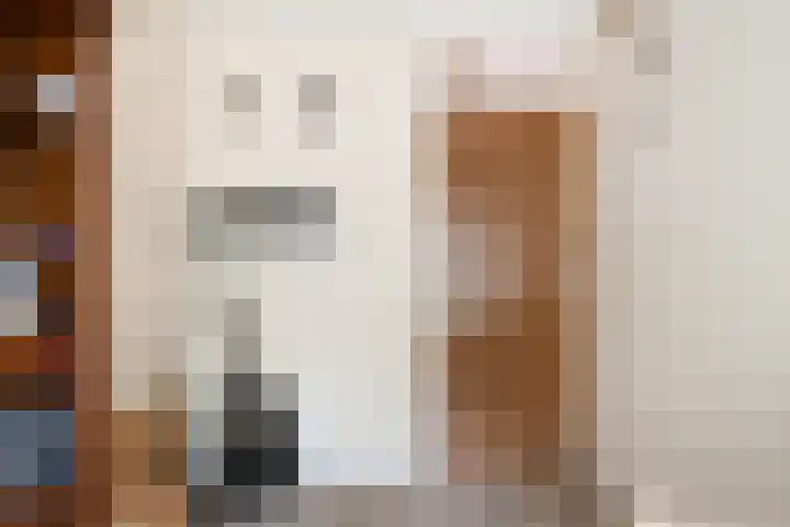 Molengracht 47 Den Helder thumbnail 30