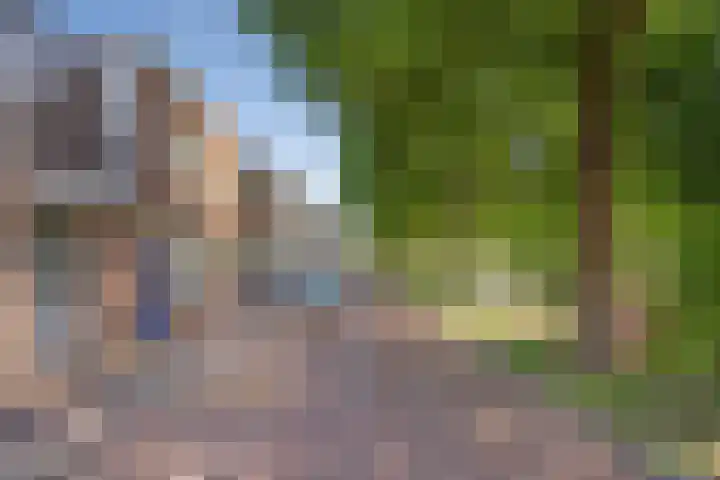 Molengracht 47 Den Helder thumbnail 32