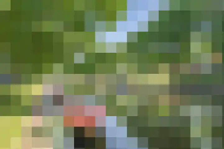 Molengracht 47 Den Helder thumbnail 33