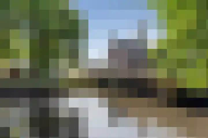 Molengracht 47 Den Helder thumbnail 34