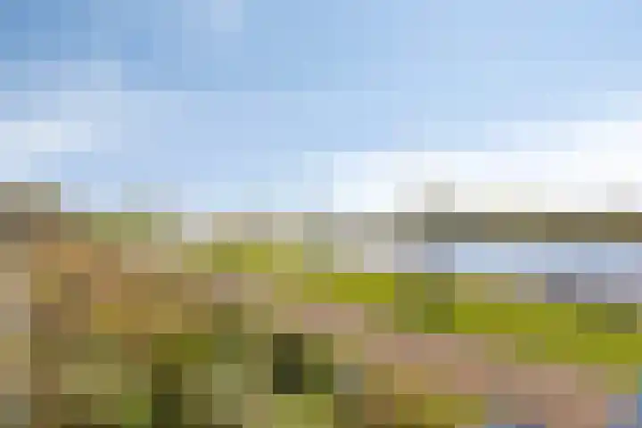 Molengracht 51 Zutphen thumbnail 22