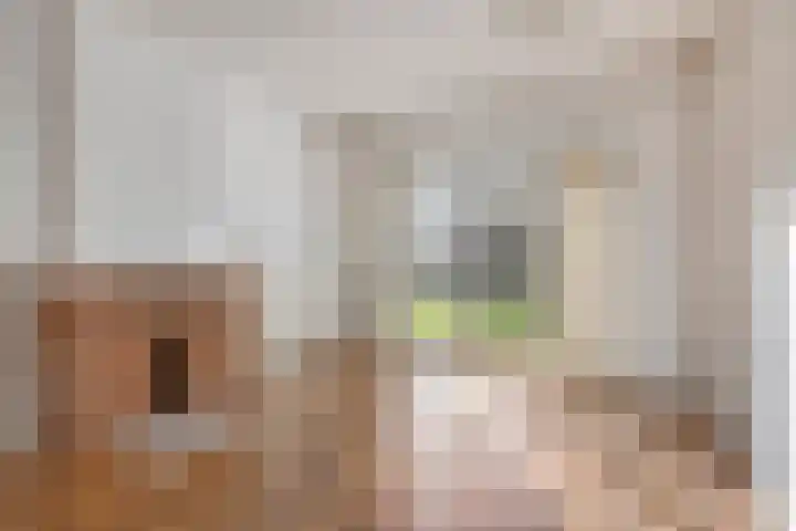 Molengracht 51 Zutphen thumbnail 5