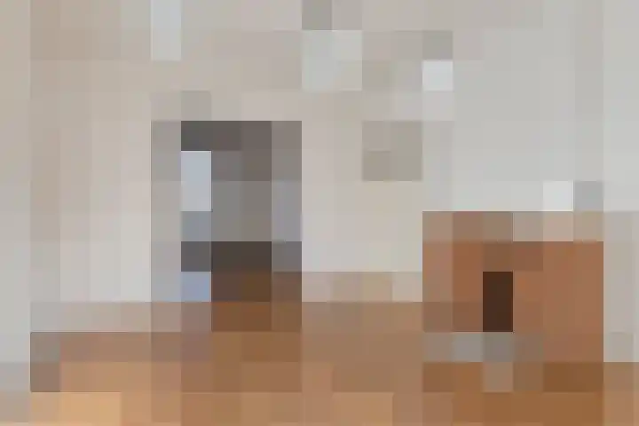 Molengracht 51 Zutphen thumbnail 6
