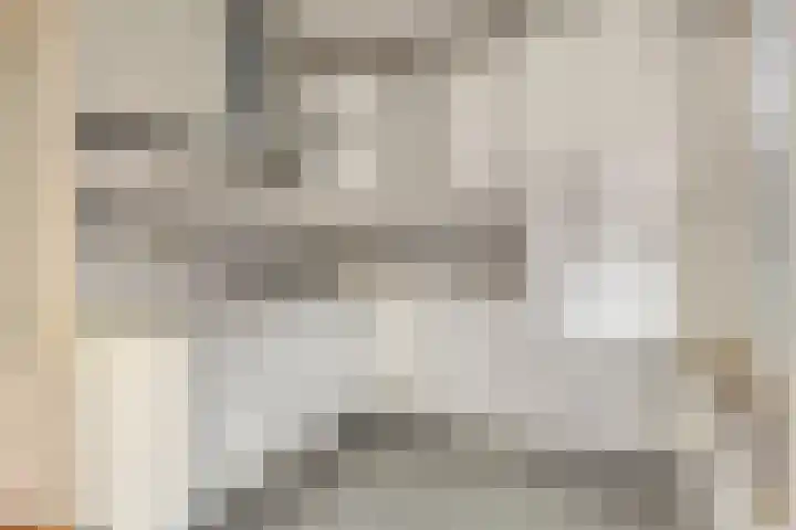 Molengracht 51 Zutphen thumbnail 9