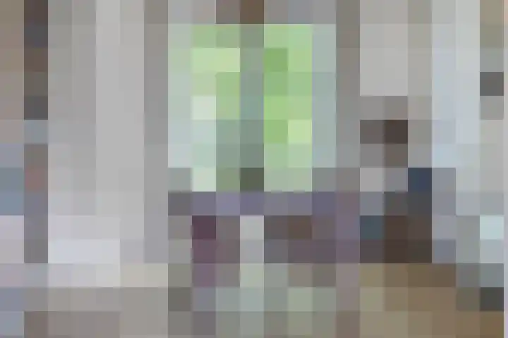 Molengracht 55 Zutphen thumbnail 11