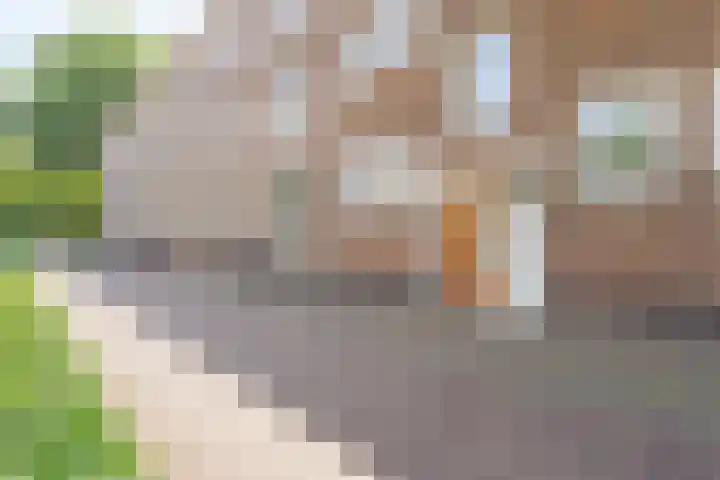 Molengracht 55 Zutphen thumbnail 22