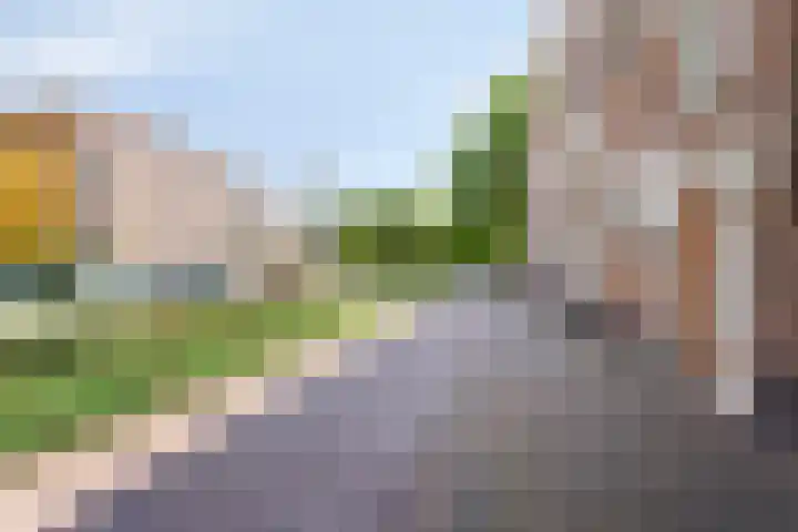 Molengracht 55 Zutphen thumbnail 23