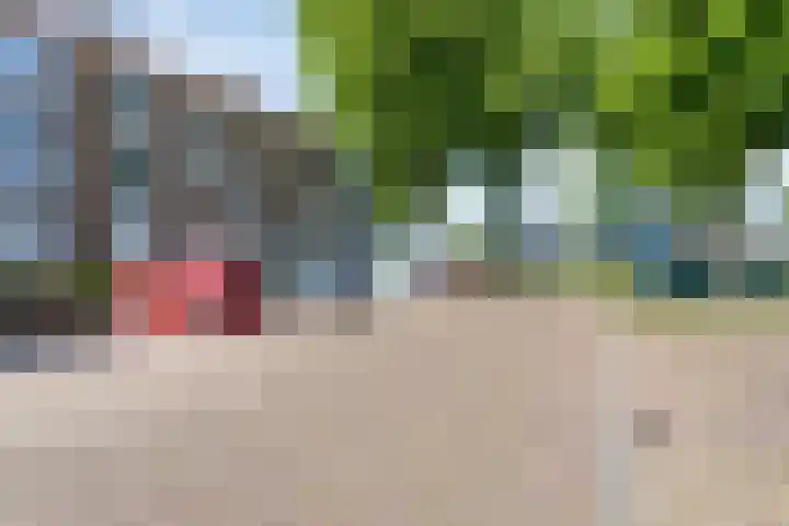 Molengracht 55 Zutphen thumbnail 24