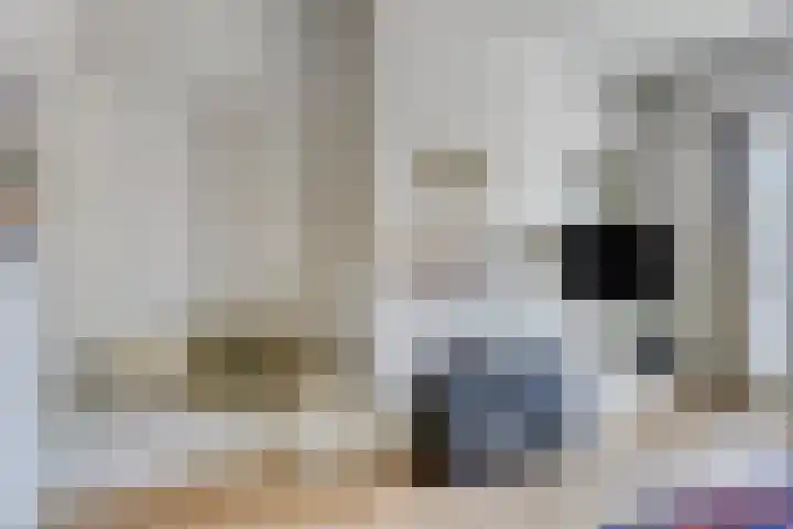 Molengracht 55 Zutphen thumbnail 6