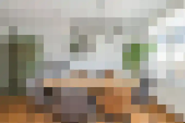 Molengragte 16 Waalre thumbnail 10