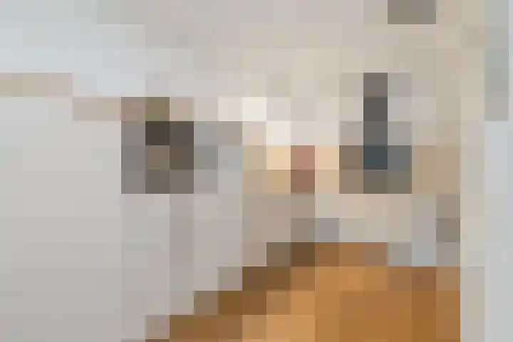Molengragte 16 Waalre thumbnail 11