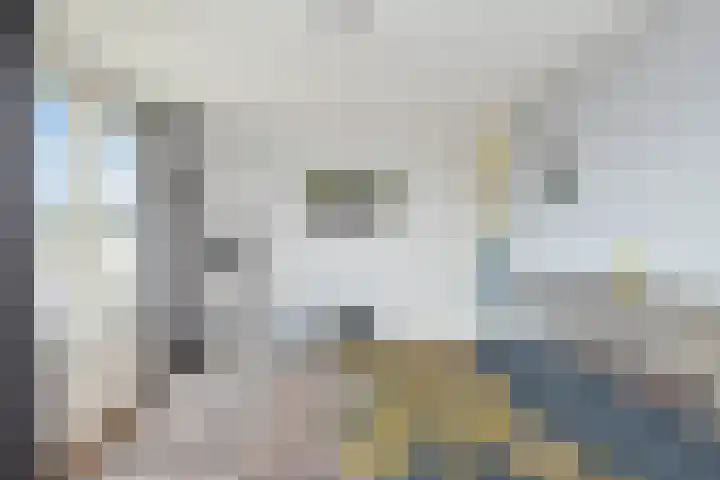 Molengragte 16 Waalre thumbnail 16