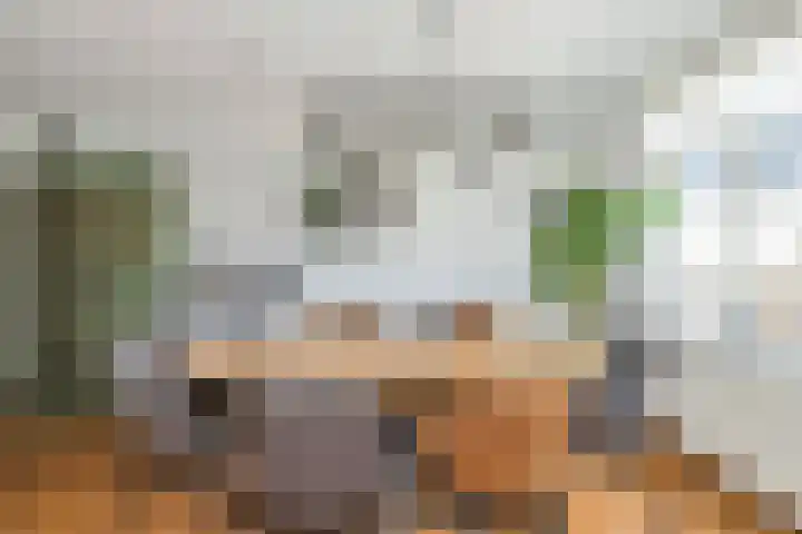 Molengragte 16 Waalre thumbnail 4
