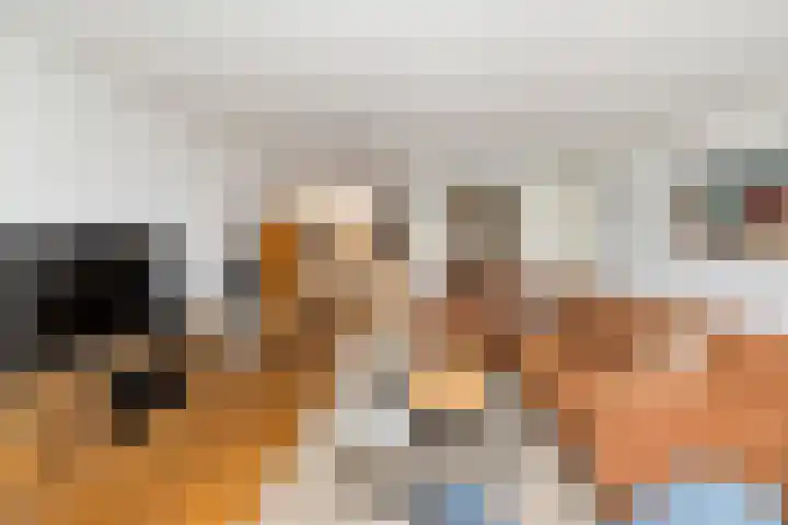 Molengragte 16 Waalre thumbnail 8